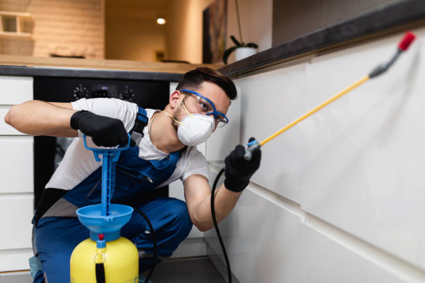 Pest Control Cost in Canton, OH