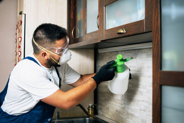 Best Pest Inspection Near Me  in Canton, OH
