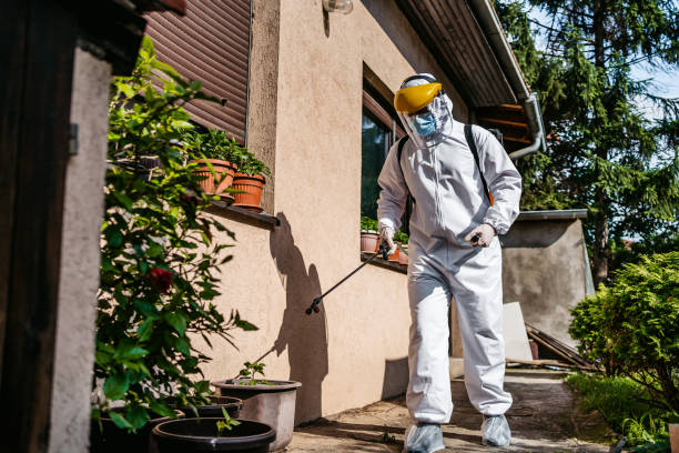 Best Termite Control Services  in Canton, OH