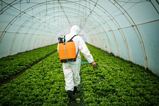 Best Pest Control Cost  in Canton, OH