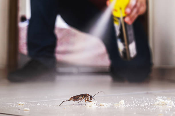 Best Emergency Pest Control  in Canton, OH