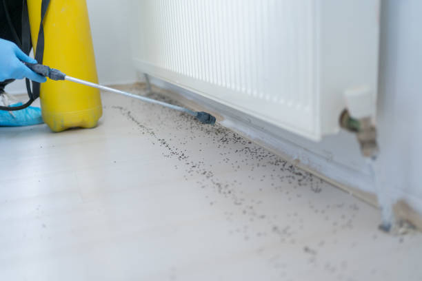 Best Pest Prevention Services  in Canton, OH