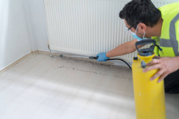 Best Bed Bug Extermination  in Canton, OH