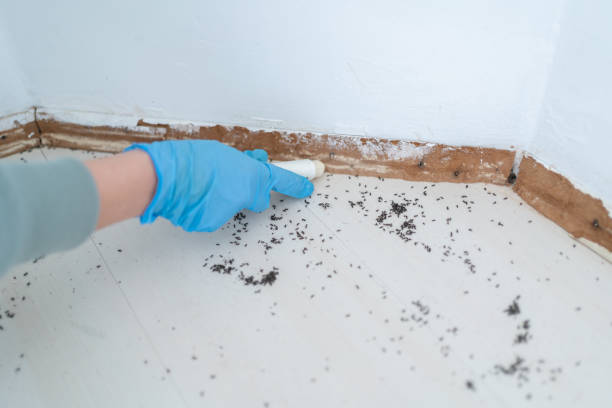 Best Best Pest Control Companies  in Canton, OH