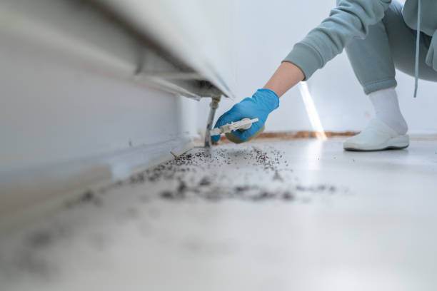 Best Pest Control Near Me  in Canton, OH